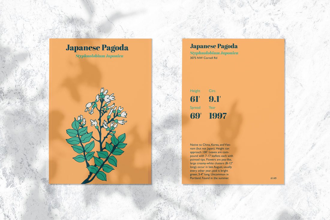 Tree guide cards with clean modern typography
