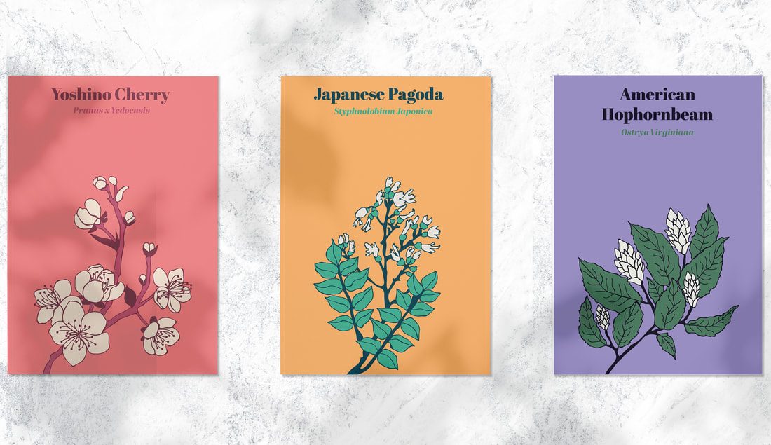 Detail of hand-drawn illustration elements on the packaging