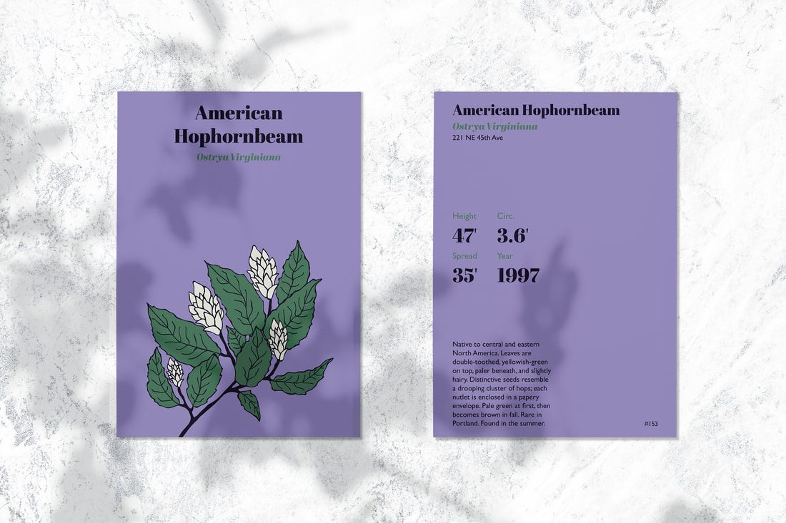 Seed packets with leaf motif illustrations